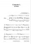 Concerto 01 (Transcription) - Sample page 1