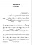 Concerto 06 (Transcription) - Sample page 1